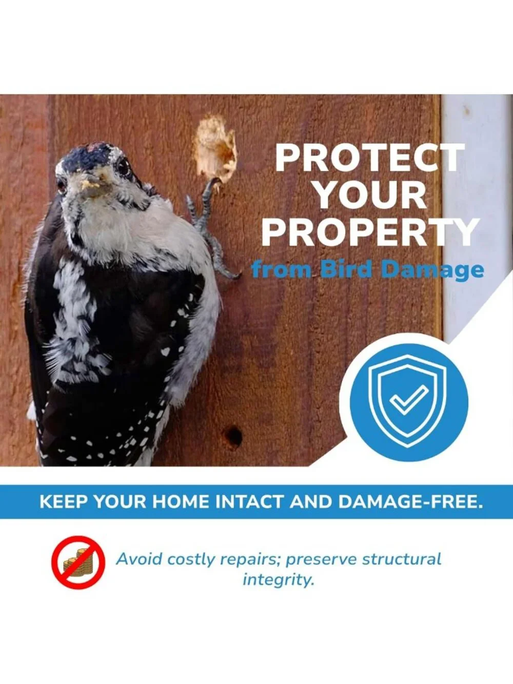 Professional Bird Deterrent with Motion Activation & Reflective Discs - Scare
